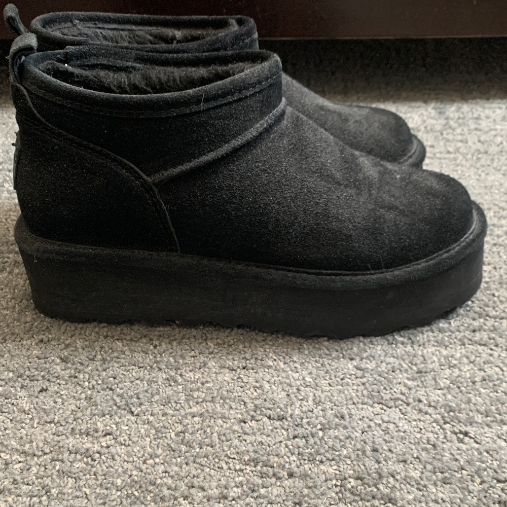 Bearpaw
